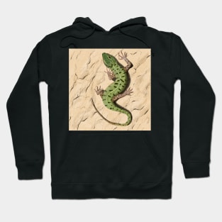 Lizard in the desert Hoodie